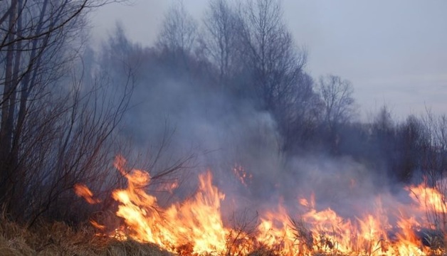 «Нам совершенно не до того, чтобы помимо вируса этим заниматься». Губернатор Забайкалья отказался выплачивать компенсации пострадавшим от лесных пожаров