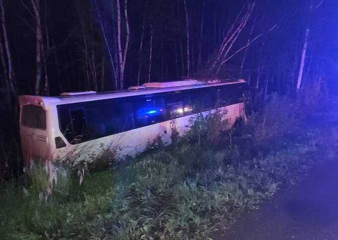 В Амурской области автобус столкнулся с автомобилем и врезался в дерево