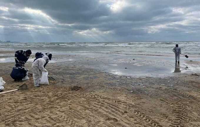 Депутат Госдумы заявил, что разлив мазута в Черном море не является катастрофой