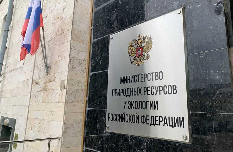 Министерство природных ресурсов Свердловской области не смогло взыскать миллиарды долгов за аренду лесных участков