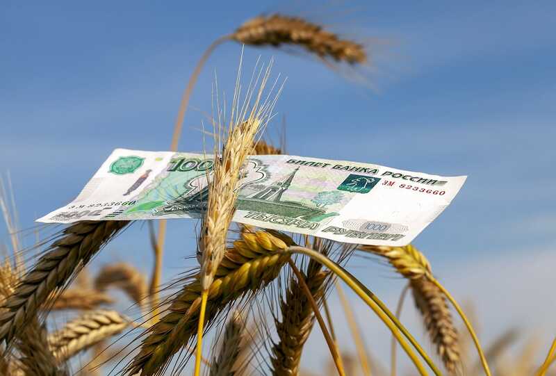 Экспорт российского зерна снижается в результате неудачной уборочной кампании