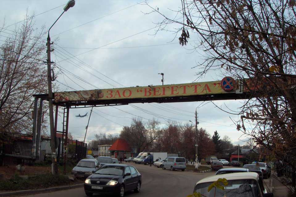 «Вегетта» «Вегетта»