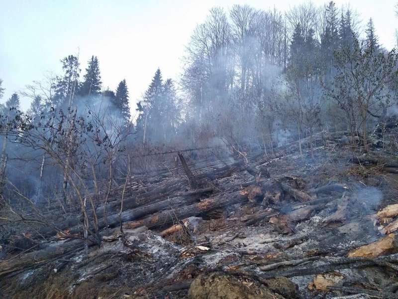 Ð’Ð¾ Ð›ÑŒÐ²Ð¾Ð²ÑÐºÐ¾Ð¹ Ð¾Ð±Ð»Ð°ÑÑ‚Ð¸ ÑÐ¿Ð°ÑÐ°Ñ‚ÐµÐ»Ð¸ ÑÐ²Ð°ÐºÑƒÐ¸Ñ€Ð¾Ð²Ð°Ð»Ð¸ 71 Ñ‚ÑƒÑ€Ð¸ÑÑ‚Ð°